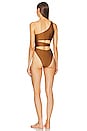 view 3 of 3 x REVOLVE Kailo One Piece in Brown