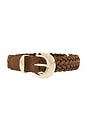 view 3 of 3 Lg Lucie Belt in Aged Cognac Suede
