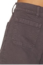 view 6 of 6 Emmet Shorts in Chocolate Plum