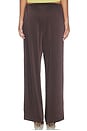 view 5 of 6 The Devon Pant in Dark Chicory