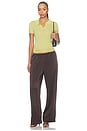 view 6 of 6 The Devon Pant in Dark Chicory