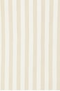 view 5 of 5 TOP SIN MANGAS in Khaki Sand Stripe
