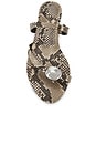 view 4 of 5 Cera Thong Sandal in Vintage Khaki Multi Snake