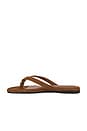 view 5 of 5 Iggy Thong Sandal in Glazed Walnut