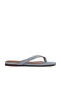 view 1 of 5 Iggy Thong Sandal in Serene Blue