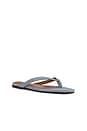 view 2 of 5 Iggy Thong Sandal in Serene Blue