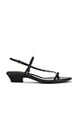view 1 of 5 Tonio Strappy Sandal in True Black