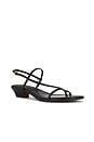 view 2 of 5 Tonio Strappy Sandal in True Black