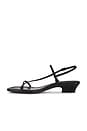 view 5 of 5 Tonio Strappy Sandal in True Black