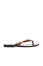 view 1 of 5 x Melissa Jelly Thong Flip Flop in Brown