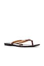 view 2 of 5 x Melissa Jelly Thong Flip Flop in Brown