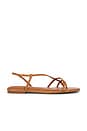 view 1 of 5 SANDALES IGGY STRAPPY in Toasted Coconut