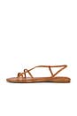 view 5 of 5 SANDALES IGGY STRAPPY in Toasted Coconut