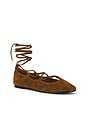 view 2 of 5 Greta Lace Up Flat in Warm Chestnut Suede