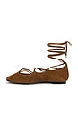 view 5 of 5 Greta Lace Up Flat in Warm Chestnut Suede