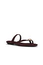 view 2 of 5 SANDALIA MILA THONG in Espresso Bean