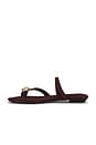 view 5 of 5 SANDALIA MILA THONG in Espresso Bean