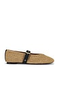 view 1 of 5 Raffia Remy Mary Jane Flat in Natural Multi