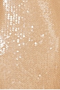 view 4 of 4 Amaya Sequins Dress in Brown