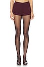 view 1 of 6 Greta Short in Burgundy