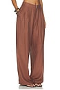 view 2 of 6 Hedi Pant in Brown
