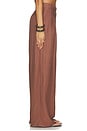 view 3 of 6 Hedi Pant in Brown