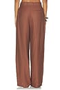 view 4 of 6 Hedi Pant in Brown