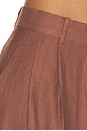 view 6 of 6 Hedi Pant in Brown