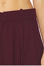 view 6 of 6 Hedi Pant in Burgundy