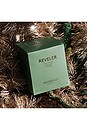 view 5 of 5 Reveler 8oz Candle in 