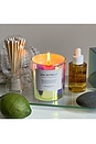 view 2 of 3 BOUGIE SPA RETREAT CANDLE in 