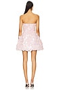 view 3 of 4 Lina Dress in Pink