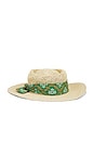 view 2 of 4 Paolino Straw Hat in Straw