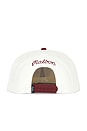 view 2 of 3 GORRA BÉISBOL PALMA DRIVE in Whisper White