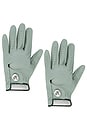 view 1 of 2 GUANTES PALMETTO  in Green Tint