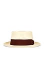 view 1 of 3 Anton Straw Hat in Straw & Raspberry Truffle