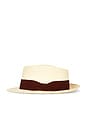 view 3 of 3 Anton Straw Hat in Straw & Raspberry Truffle