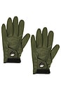 view 1 of 2 GANTS DIVISION in Military Green