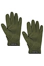 view 2 of 2 GANTS DIVISION in Military Green