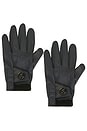 view 1 of 2 Division Glove in Blueberry