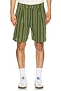 view 1 of 5 Arena Short in Chive Stripe