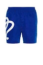 view 1 of 4 Menton Nylon Short in Blue
