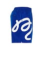 view 3 of 4 Menton Nylon Short in Blue