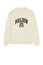 view 4 of 5 Cadet Oxford Sweatshirt in Ivory