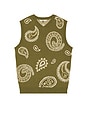 view 4 of 4 Paisley Sweater Vest in Olivine