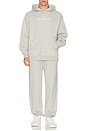 view 4 of 5 Fesque Hoodie in Heather Grey
