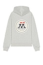 view 1 of 3 Flag Seekers Hoodie in Heather Grey