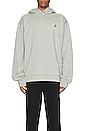view 3 of 3 Flag Seekers Hoodie in Heather Grey