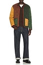 view 5 of 6 Segment Reversible Liner Jacket in Multi
