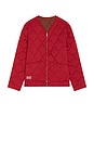 view 6 of 6 Segment Reversible Liner Jacket in Multi